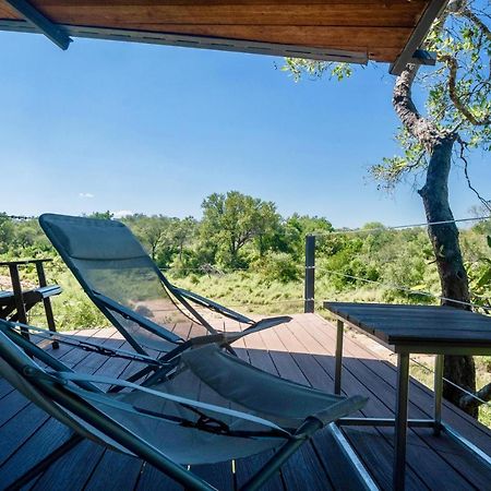 Greenfire Game Lodge Balule Game Reserve Bagian luar foto