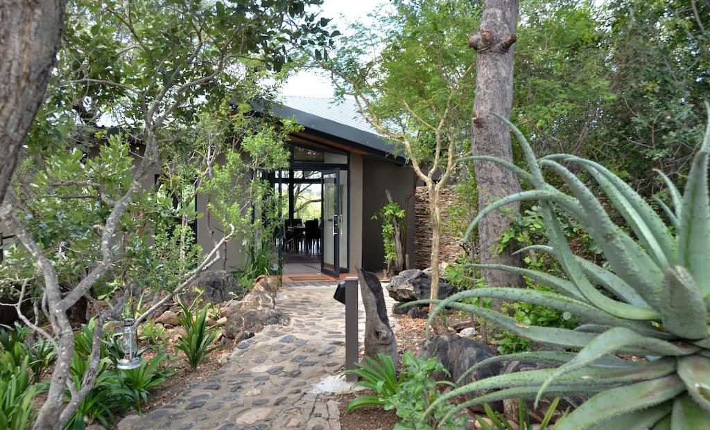 Greenfire Game Lodge Balule Game Reserve Bagian luar foto