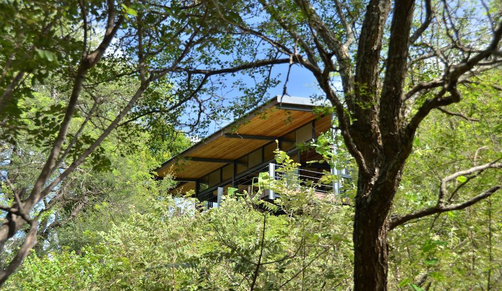 Greenfire Game Lodge Balule Game Reserve Bagian luar foto