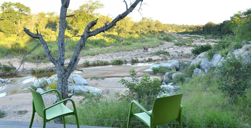 Greenfire Game Lodge Balule Game Reserve Bagian luar foto