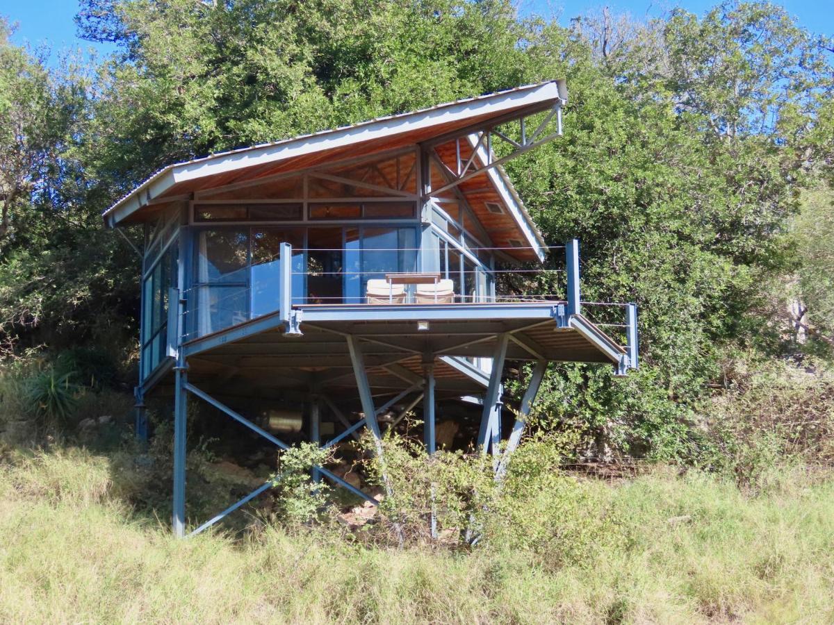 Greenfire Game Lodge Balule Game Reserve Bagian luar foto