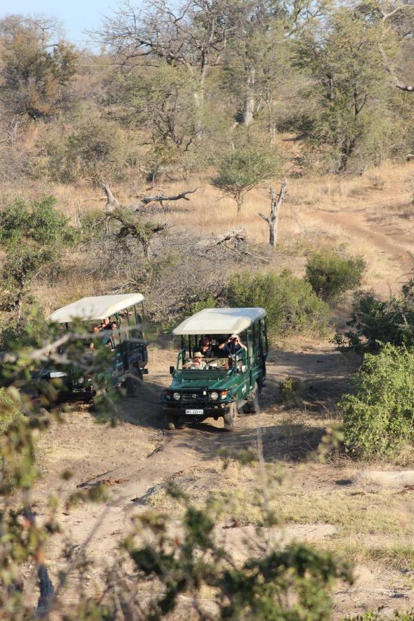 Greenfire Game Lodge Balule Game Reserve Bagian luar foto
