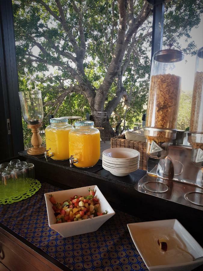Greenfire Game Lodge Balule Game Reserve Bagian luar foto